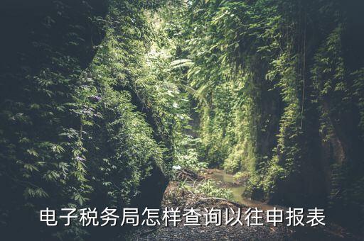 寧波地稅如何查往期申報信息，怎樣查看地稅網上申報記錄