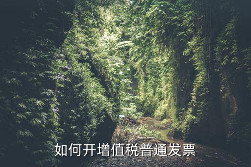 如何開(kāi)增值稅普通發(fā)票