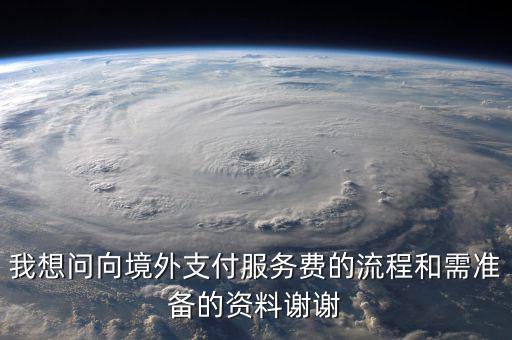支付境外勞務(wù)費如何備案，我想問向境外支付服務(wù)費的流程和需準(zhǔn)備的資料謝謝