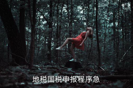 國稅地稅如何辦理流程，我想知道申報國稅地稅的流程包括前期需要什么資料期間如何