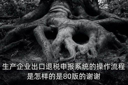 如何出口退稅系統(tǒng)，出口退稅需要什么資料