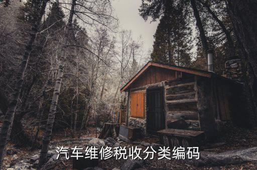 稅收分類編碼如何查詢，汽車維修稅收分類編碼