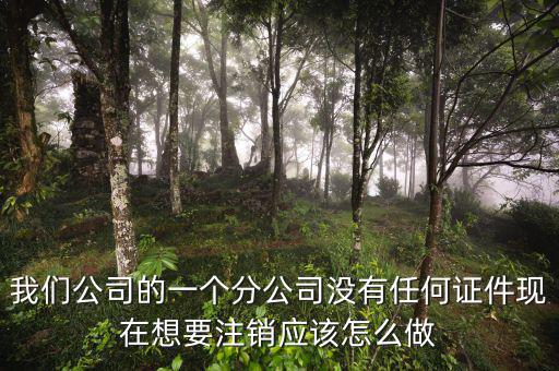 外管證不見了如何注銷，注銷外管證沒帶公司章可以嗎