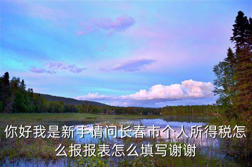 長春國稅如何報(bào)稅，長春市地稅申報(bào)