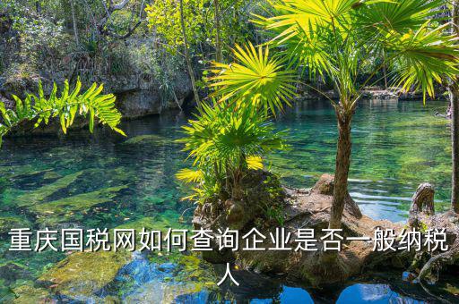 如何在國稅網(wǎng)查是否一般納稅人，怎么在網(wǎng)上查一個單位是不是一般納稅人