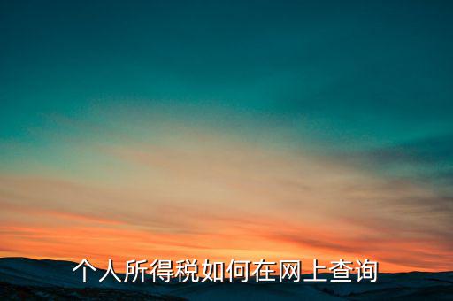 天津如何查個(gè)人所得稅，個(gè)人所得稅如何在網(wǎng)上查詢