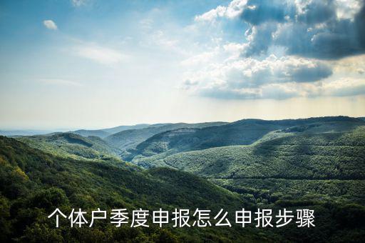 個體戶如何季度申報表，個體戶每個季度怎樣報稅