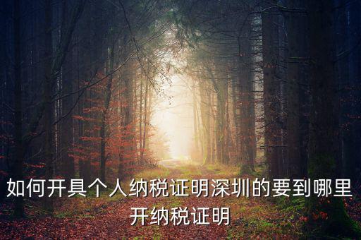如何開地方稅務(wù)局納稅證明，地稅證明怎么開