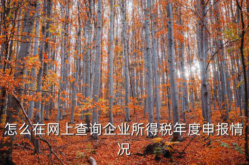 企業(yè)稅務(wù)信息如何查詢系統(tǒng)，通過(guò)企業(yè)注冊(cè)號(hào)和地稅登記證號(hào)如何查詢企業(yè)信息