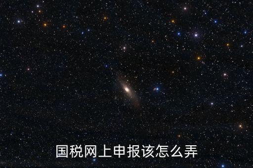 國稅新系統(tǒng)如何申報，國稅網(wǎng)上申報該怎么弄