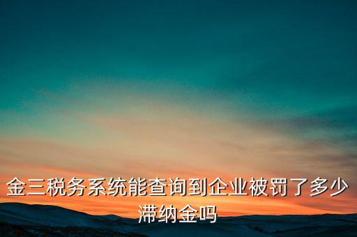 稅務(wù)部門的行政處罰如何查詢，公司的稅務(wù)罰款去哪里查詢急