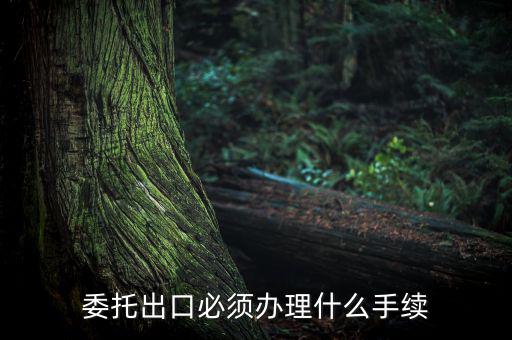 如何開具代理出口貨物證明，代理公司在當?shù)亻_具代理出口貨物證明 請問我公司如何