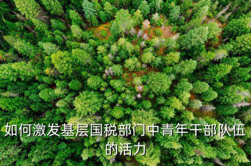 稅務(wù)如何激發(fā)干部活力，如何激發(fā)稅務(wù)干部的創(chuàng)新積極性
