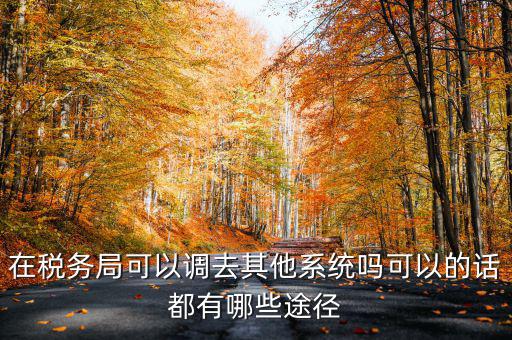 國稅系統(tǒng)如何調(diào)出，其他公務(wù)員怎么調(diào)稅務(wù)系統(tǒng)
