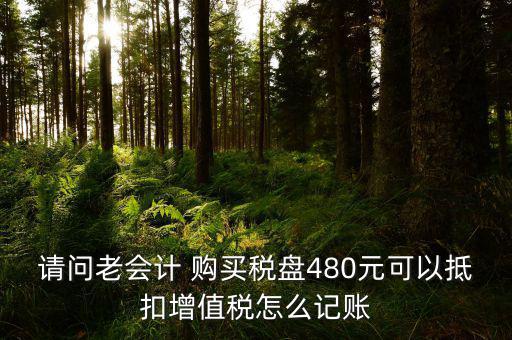 請(qǐng)問(wèn)老會(huì)計(jì) 購(gòu)買稅盤480元可以抵扣增值稅怎么記賬