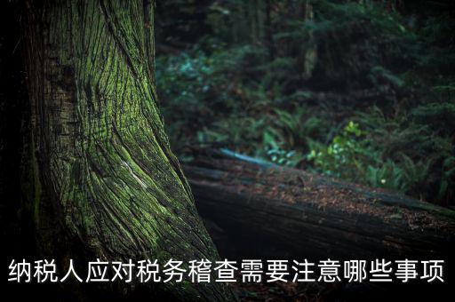 國稅稽查如何應(yīng)對(duì)聽證，怎么應(yīng)對(duì)稅務(wù)局的稅務(wù)稽查