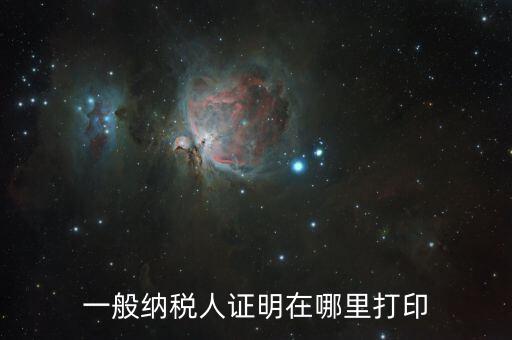 如何打印一般納稅人證明文件，一般納稅人資格認(rèn)定表如何在網(wǎng)上打印文書(shū)