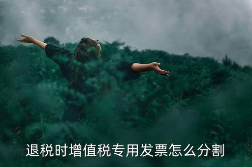 申報(bào)退稅如何分批，同一個(gè)退稅申報(bào)期內(nèi)可以申報(bào)2個(gè)批次嗎