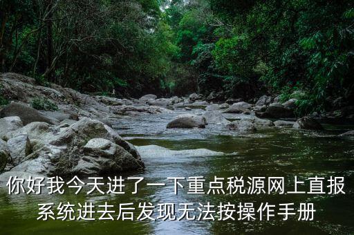 你好我今天進(jìn)了一下重點(diǎn)稅源網(wǎng)上直報(bào)系統(tǒng)進(jìn)去后發(fā)現(xiàn)無法按操作手冊(cè)