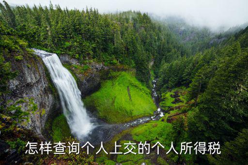 如何查詢個(gè)人稅務(wù)信息，怎樣查詢個(gè)人上交的個(gè)人所得稅