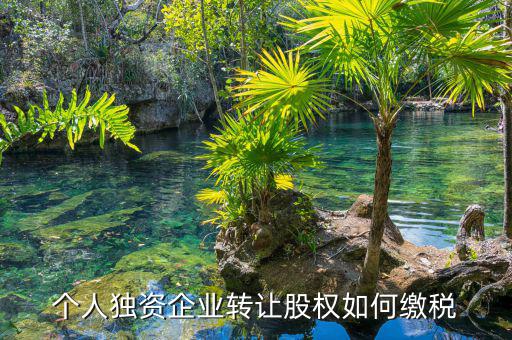 個(gè)人股權(quán)轉(zhuǎn)讓如何繳稅，轉(zhuǎn)讓股權(quán)個(gè)人所得稅怎么交