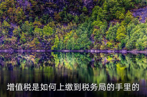 如何在稅務(wù)大廳納稅繳納稅款，在稅務(wù)大廳怎么繳納已申報(bào)稅款