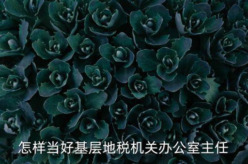 稅務(wù)部門如何抓好主體責(zé)任，如何做好稅收法規(guī)工作