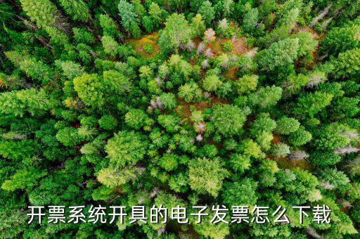 稅友的電子發(fā)票如何下載，開票系統(tǒng)開具的電子發(fā)票怎么下載