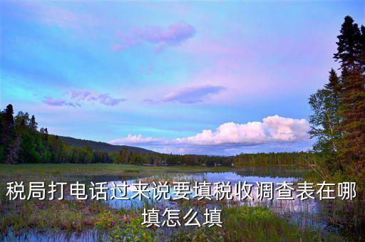 涉稅事項調(diào)查表如何填寫，09全國稅收調(diào)查表如何填寫