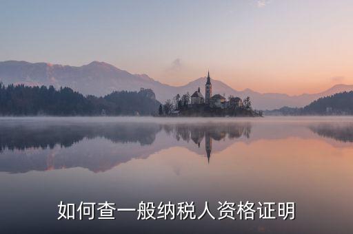如何查一般納稅人資格，如何查一般納稅人資格證明