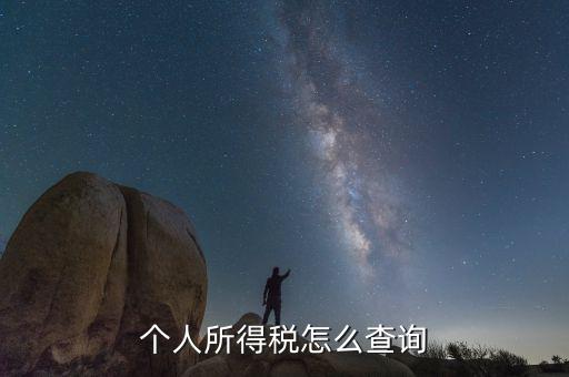 如何查詢個(gè)人稅務(wù)信息查詢，怎樣查詢個(gè)人所得稅