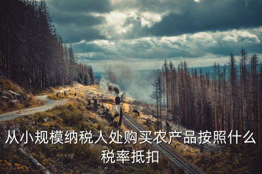 小規(guī)模納稅人 農(nóng)產(chǎn)品如何開票適用稅率，小規(guī)模納稅人銷售農(nóng)產(chǎn)品開什么發(fā)票