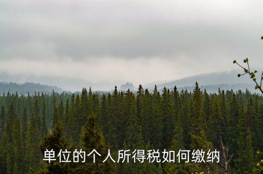 企業(yè)個(gè)人所得稅如何繳納，私營企業(yè)職工個(gè)人所得稅如何繳納