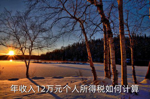 如何計算12萬申報，年收入12萬元個人所得稅如何計算
