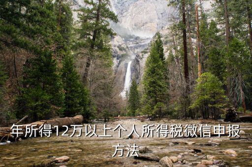 江蘇12萬元申報如何登錄申請，江蘇12萬元個人所得稅怎么申報