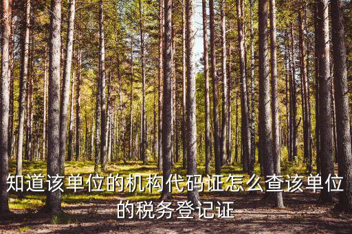 如何查企業(yè)稅務(wù)局登記，公司的稅務(wù)登記證號(hào)怎么查詢