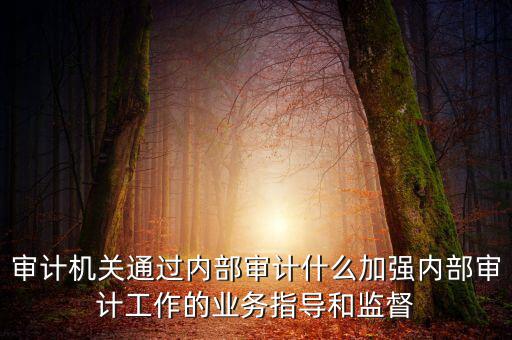 如何進(jìn)一步加強(qiáng)督察內(nèi)審工作，如何加強(qiáng)紀(jì)檢監(jiān)察系統(tǒng)內(nèi)部監(jiān)督管理