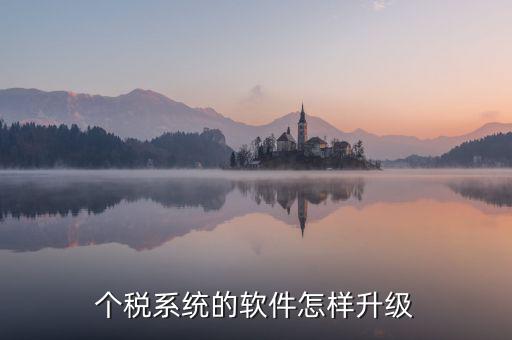 稅務(wù)系統(tǒng)如何升級1128，稅控發(fā)票開票系統(tǒng)稅控盤怎么升級