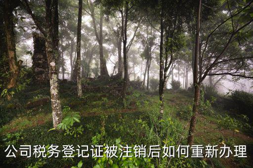 公司稅務(wù)登記證被注銷(xiāo)后如何重新辦理
