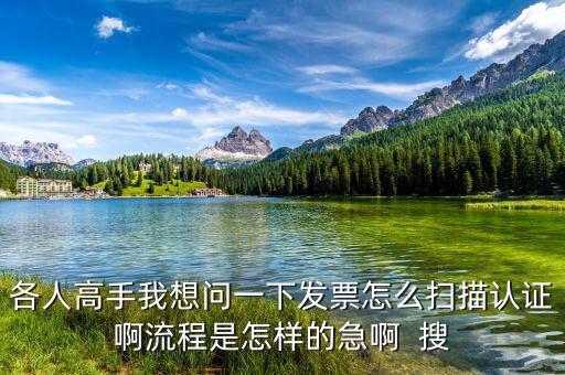 如何掃描認(rèn)證發(fā)票，各人高手我想問(wèn)一下發(fā)票怎么掃描認(rèn)證啊流程是怎樣的急啊  搜