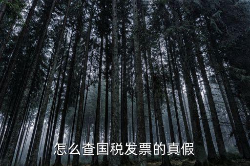 國稅如何驗證發(fā)票，增值稅發(fā)票網(wǎng)上怎么認證