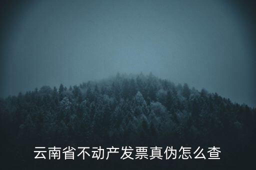 不動(dòng)產(chǎn)統(tǒng)一發(fā)票如何查詢真?zhèn)?，銷售不動(dòng)產(chǎn)統(tǒng)一發(fā)票真假怎么辨別