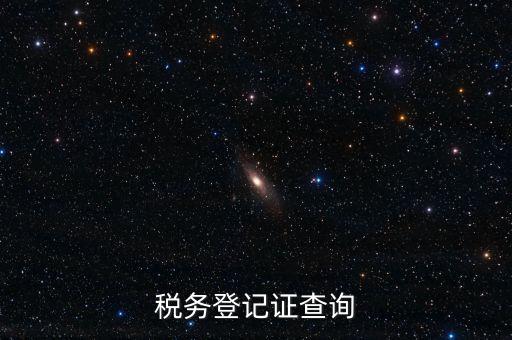 稅務(wù)機(jī)關(guān)備案信息如何查詢系統(tǒng)，稅務(wù)登記證查詢
