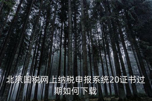 北京國(guó)稅網(wǎng)站如何更新，如何在國(guó)稅網(wǎng)上更新公司的信息