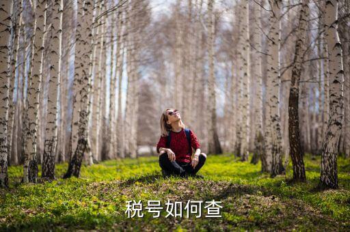 武漢如何查公司稅號，有誰知道公司名怎么查公司稅號
