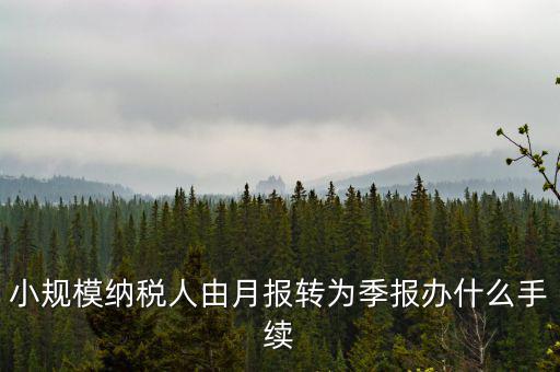 小規(guī)模附加稅如何改成按季申報，小規(guī)模納稅人增值稅按月申報可以改為按季度申報嗎