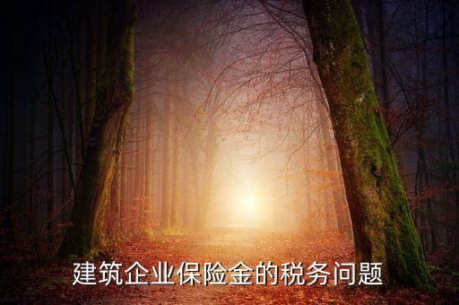 保險公司稅務管理如何處理，建筑企業(yè)保險金的稅務問題