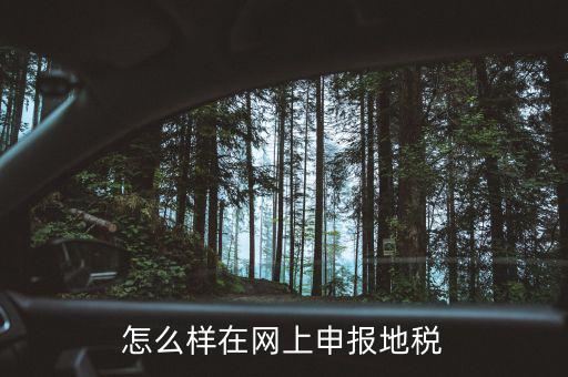 地稅網(wǎng)站如何注冊(cè)，地稅網(wǎng)上申報(bào)注冊(cè)怎么操作