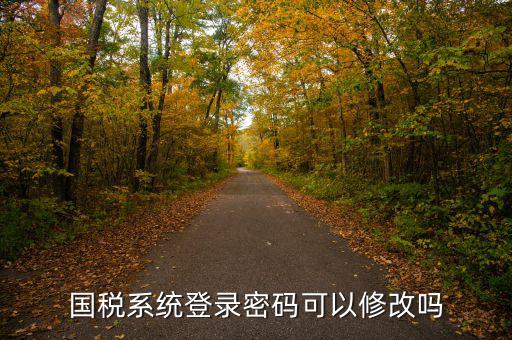 國(guó)稅系統(tǒng)登錄密碼可以修改嗎