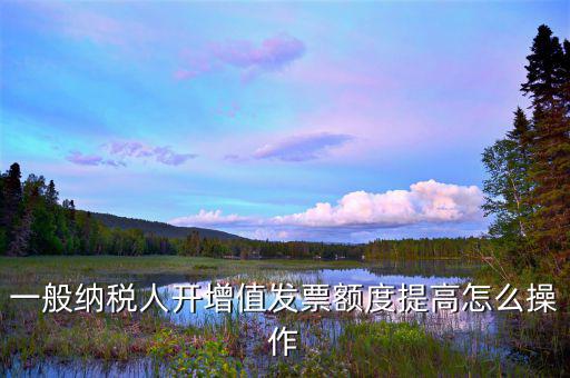 如何提高開票限額申請，一般納稅人開增值發(fā)票額度提高怎么操作